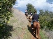 Enlarge photo 21