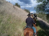 Enlarge photo 22
