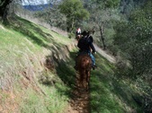 Enlarge photo 24
