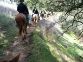 Enlarge photo 27