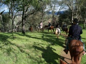 Enlarge photo 29