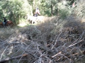 Enlarge photo 31