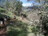 Enlarge photo 32