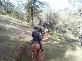 Enlarge photo 33