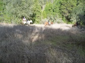 Enlarge photo 34