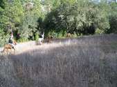 Enlarge photo 35