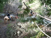 Enlarge photo 37
