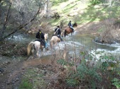Enlarge photo 38