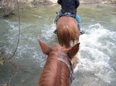 Enlarge photo 39