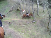 Enlarge photo 41