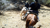 Enlarge photo 25
