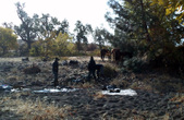 Enlarge photo 37