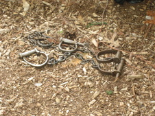 Enlarge photo 13