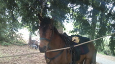Enlarge photo 5