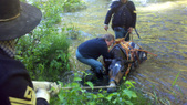 Enlarge photo 37