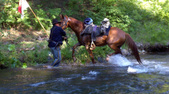 Enlarge photo 58