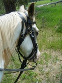 Enlarge photo 32