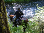 Enlarge photo 34