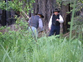 Enlarge photo 41