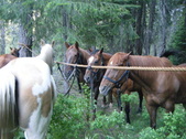 Enlarge photo 47