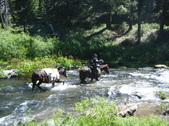 Enlarge photo 53