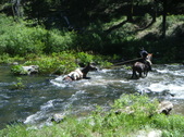 Enlarge photo 54