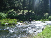 Enlarge photo 55