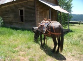 Enlarge photo 1