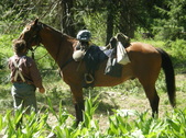 Enlarge photo 73