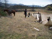 Enlarge photo 25