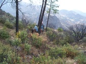 Enlarge photo 53