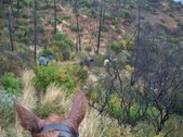 Enlarge photo 54