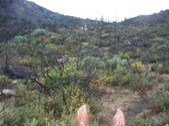 Enlarge photo 55