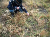 Enlarge photo 31