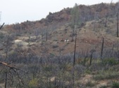 Enlarge photo 33