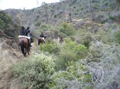 Enlarge photo 11