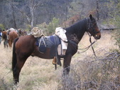 PASKENTA EXPEDITION