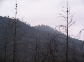 Enlarge photo 37
