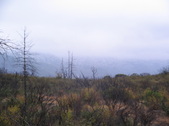 Enlarge photo 38