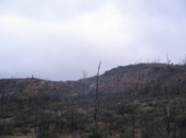 Enlarge photo 40