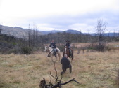 Enlarge photo 42