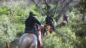 Enlarge photo 29