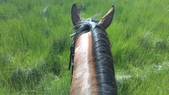 Enlarge photo 33