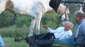 Enlarge photo 36