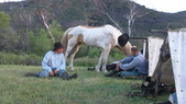 Enlarge photo 37