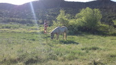 Enlarge photo 40