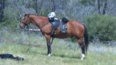 Enlarge photo 44