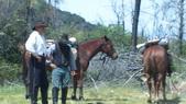 Enlarge photo 45