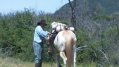 Enlarge photo 46