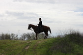 Enlarge photo 35